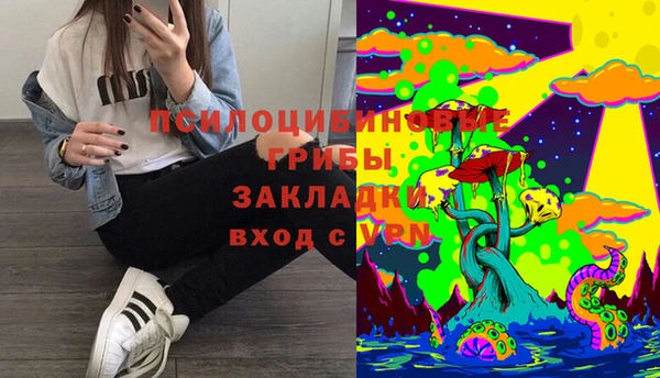 кокс Алзамай