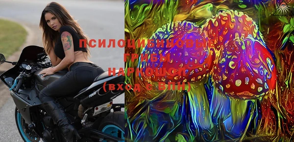 кокс Алзамай