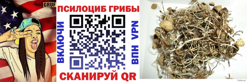 купить наркотики сайты  Ивангород  Галлюциногенные грибы Cubensis 